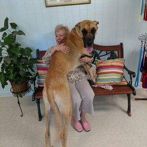 Meet your Posher, Carol